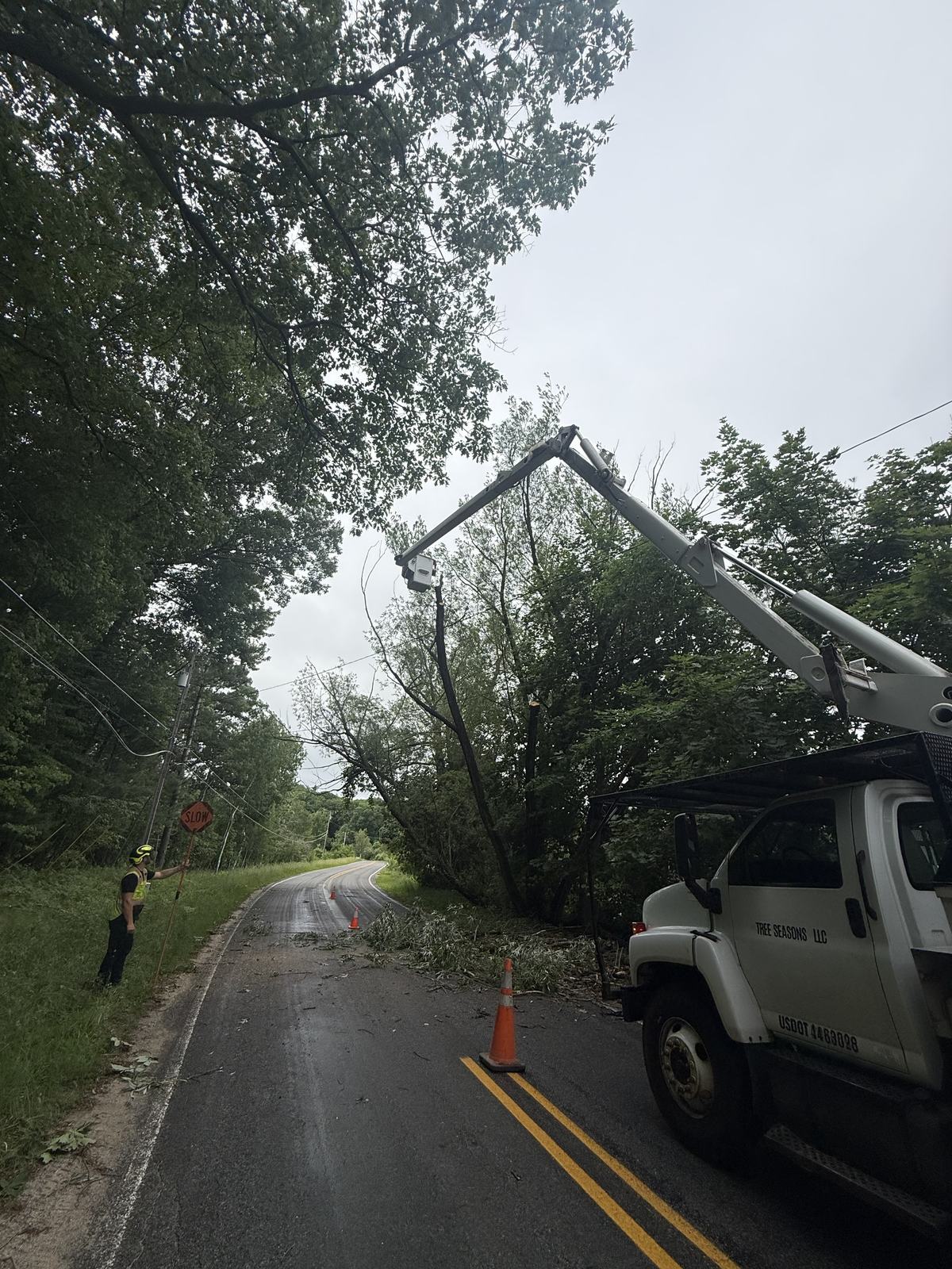 Storm-damaged tree cleanup along a road in Mecosta County, Michigan