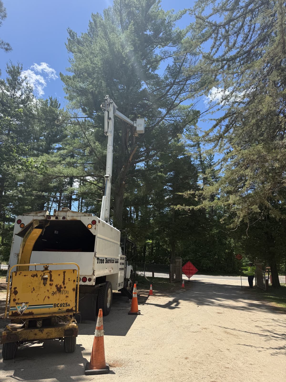 Stump grinding and land clearing equipment used by Tree Seasons Arbor Care