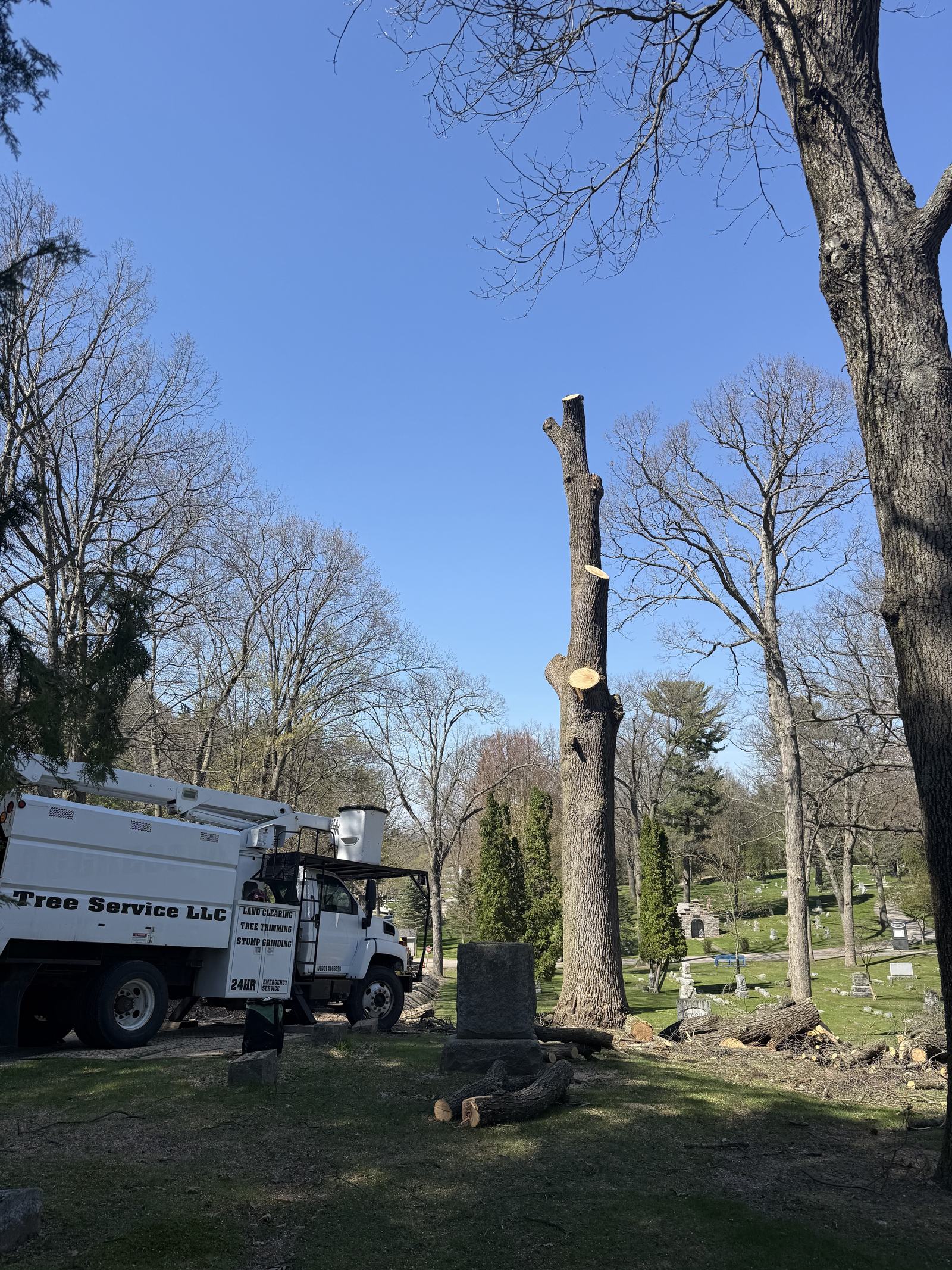 Large hazardous tree removal in Big Rapids, Michigan by Tree Seasons Arbor Care